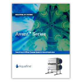 Avant Brochure