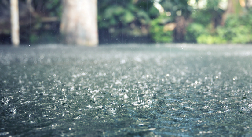 Rainwater catchment