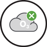 Ozone Destruction
