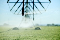 Agriculture and rural water