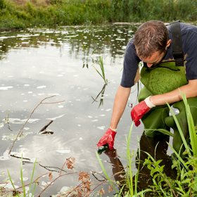 Field technician taking water sample from pond