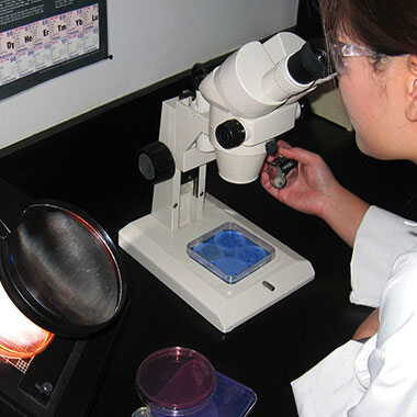 Analysis of a sample with a microscope