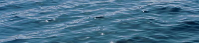 Flowing Water